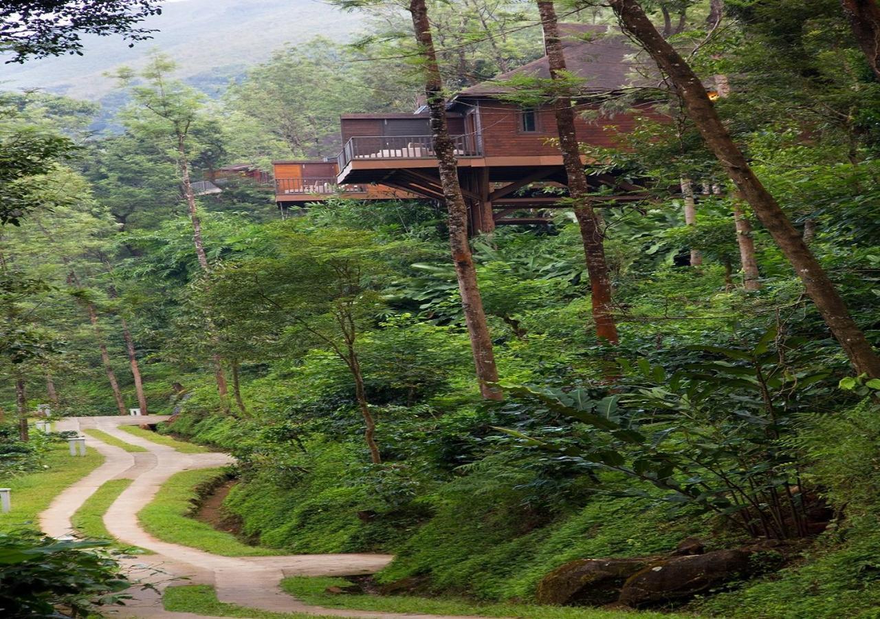 The Tamara Coorg