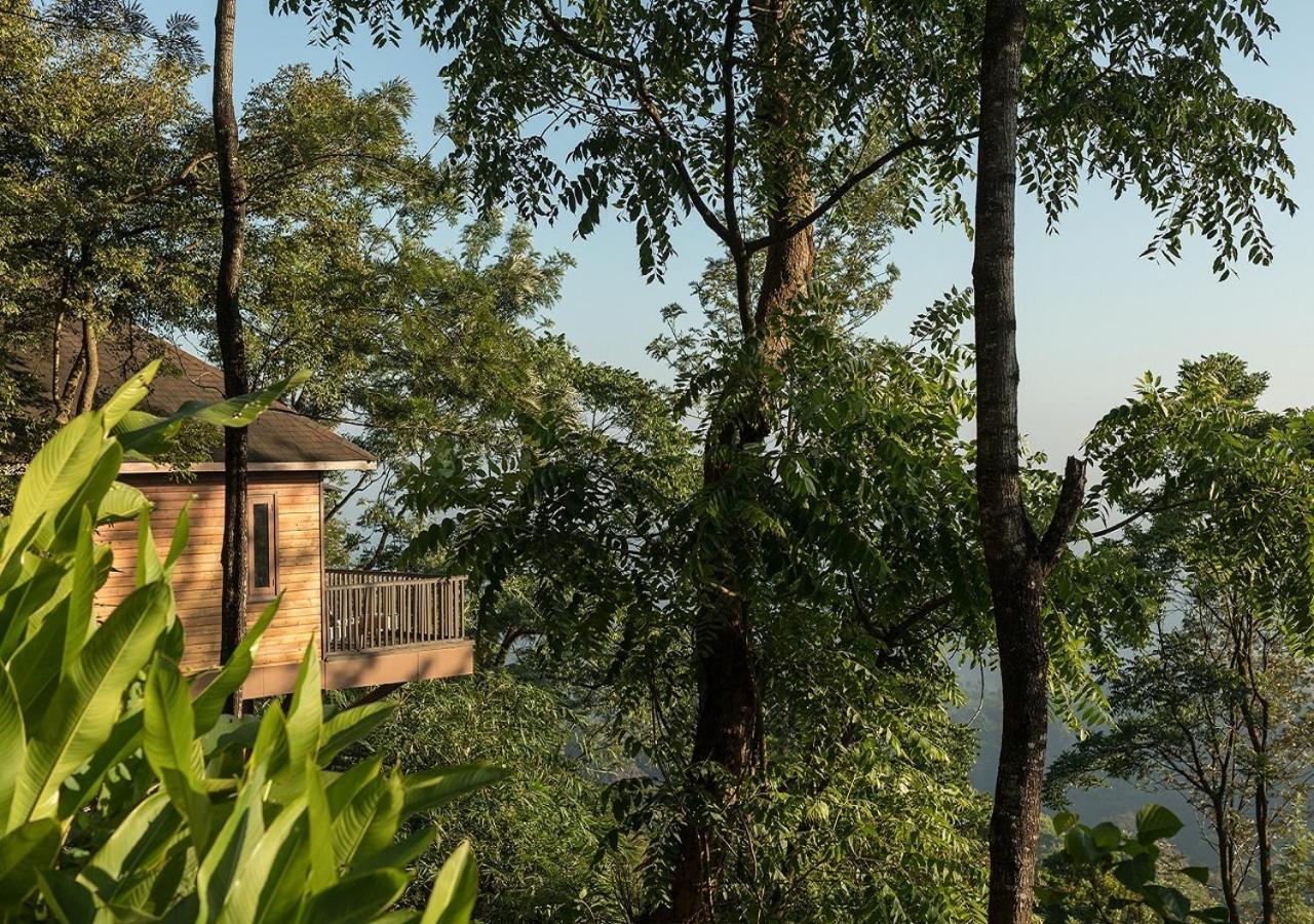 सहारा The Tamara Coorg