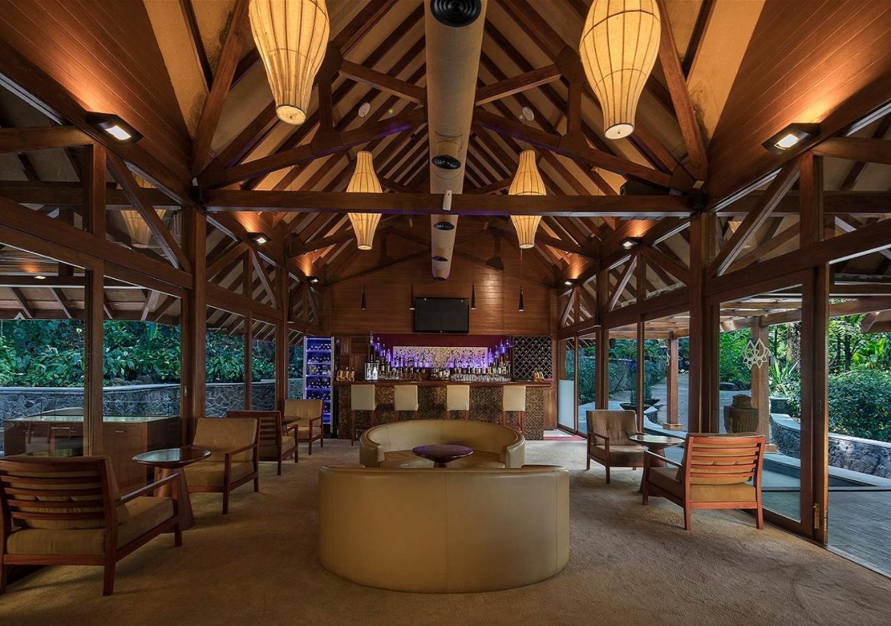 The Tamara Coorg
