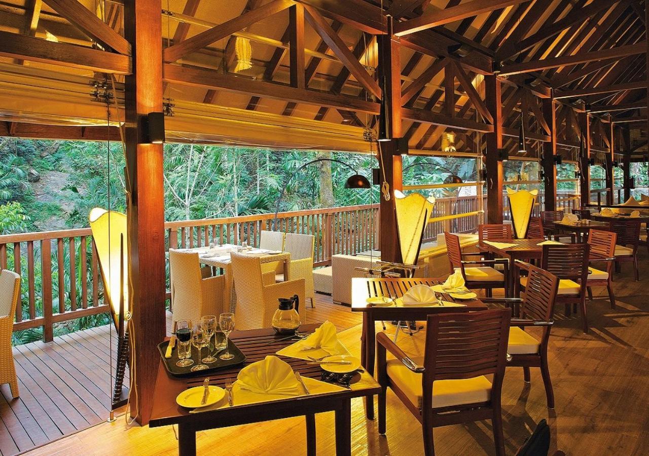 सहारा The Tamara Coorg