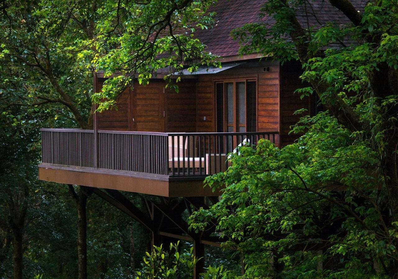 The Tamara Coorg सहारा