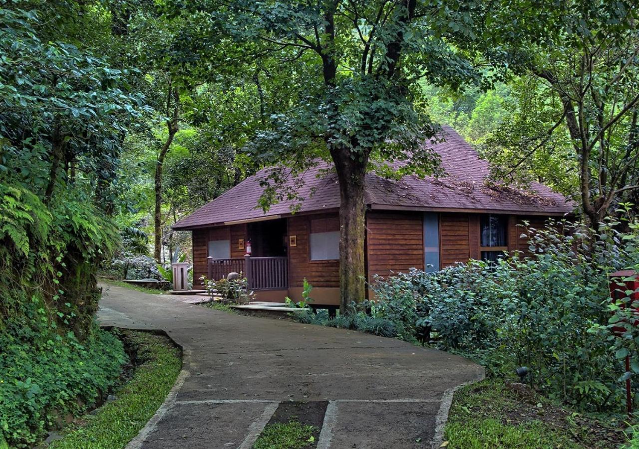 The Tamara Coorg Kakkabe