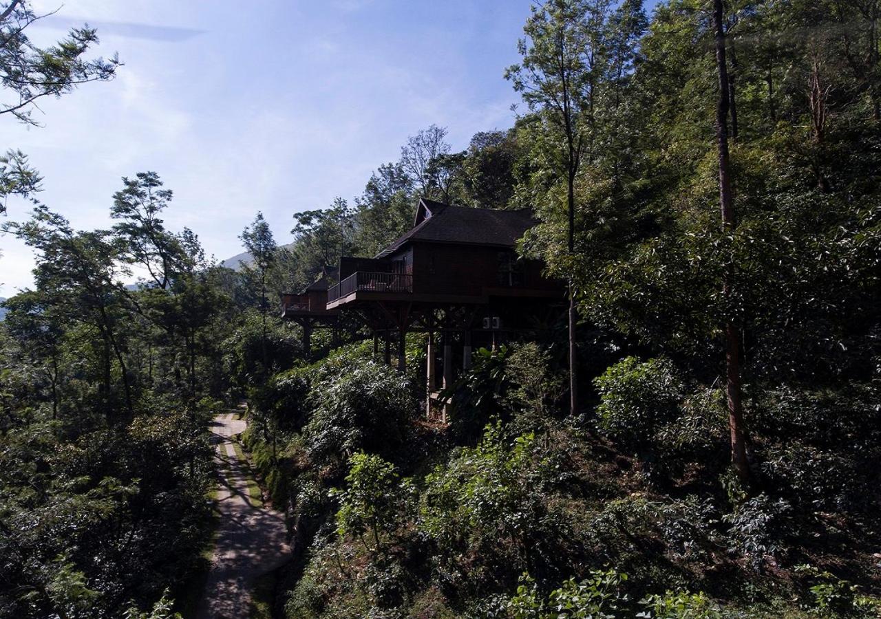सहारा The Tamara Coorg 5*