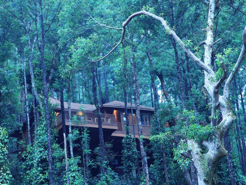 The Tamara Coorg सहारा Kakkabe
