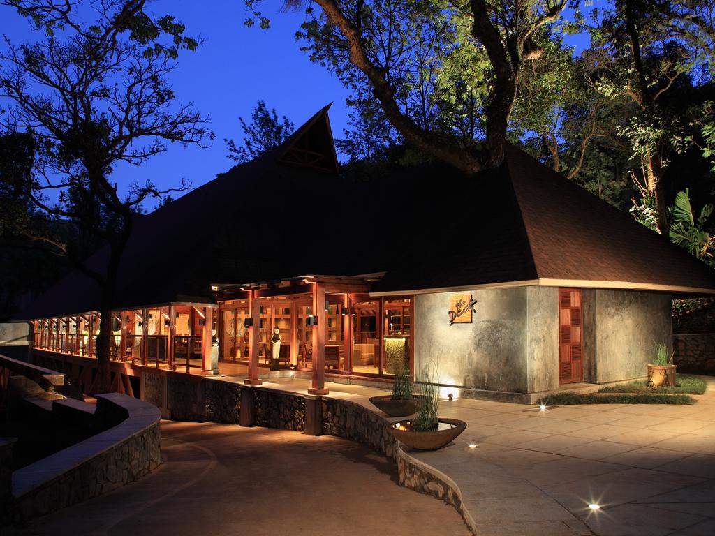 सहारा The Tamara Coorg