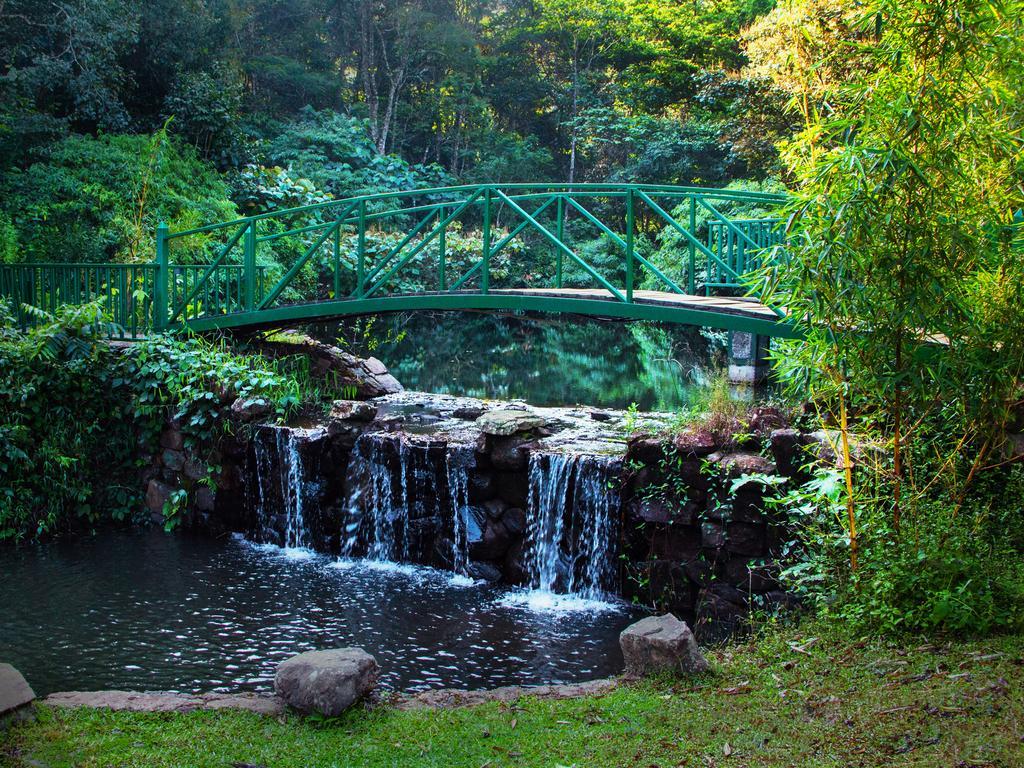 The Tamara Coorg सहारा
